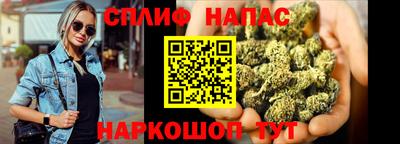 соль ск Будённовск