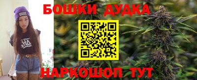 соль ск Будённовск