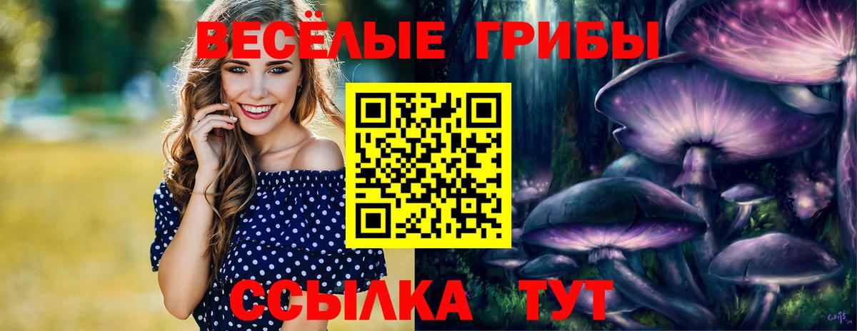 как найти наркотики  Вход с VPN  Сыктывкар  Псилоцибиновые грибы ЛСД 